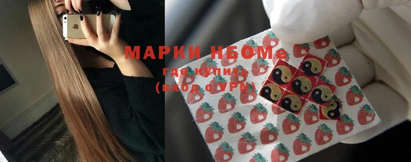 бошки Богородицк