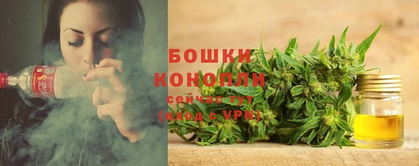 бошки Богородицк