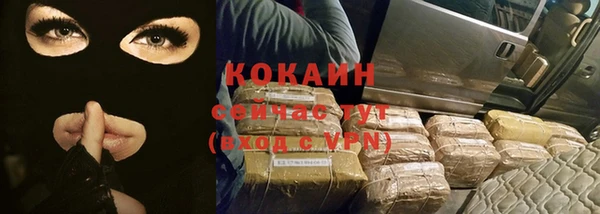 стафф Богданович