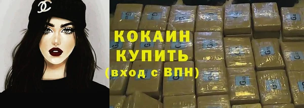стафф Богданович
