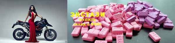 стафф Богданович