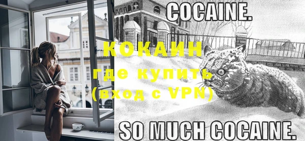 молекула духа Богородск