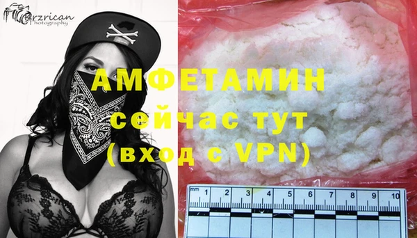 молекула духа Богородск