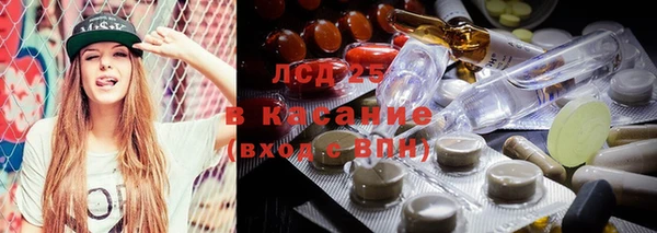 бошки Богородицк