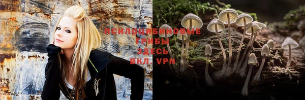 стафф Богданович