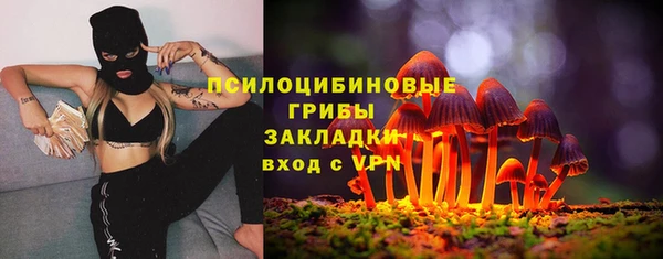 стафф Богданович